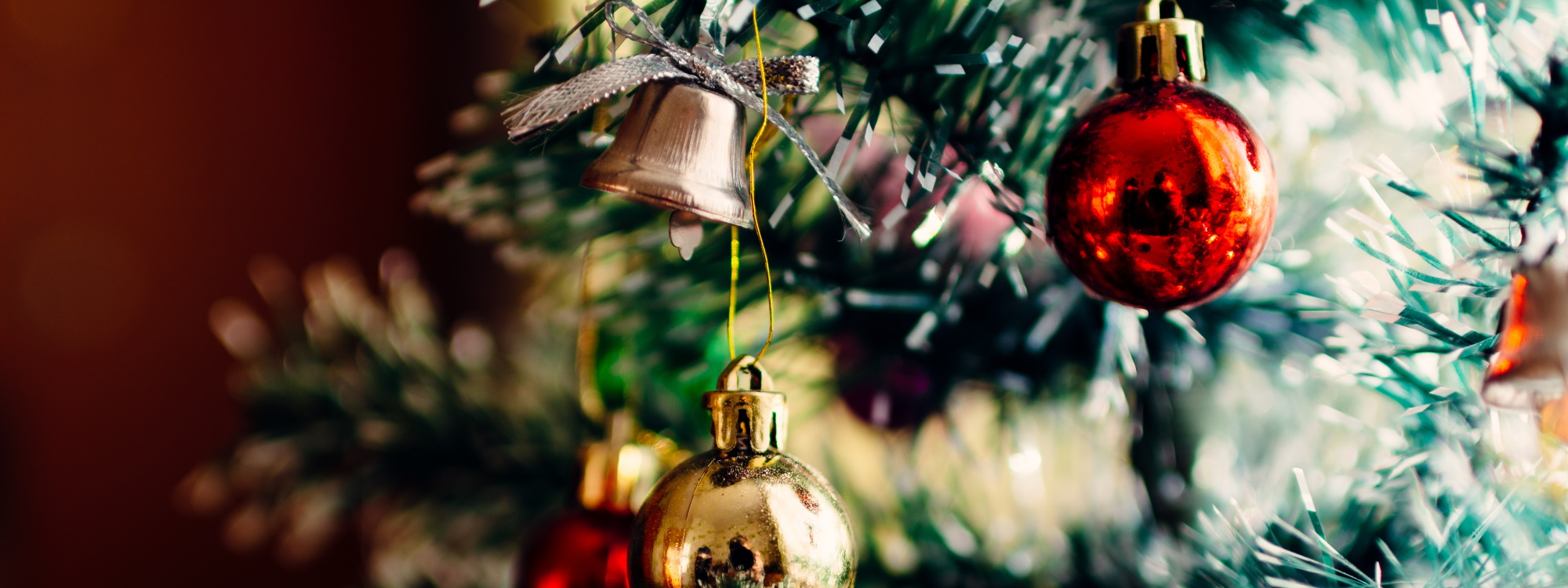 Christmas Tree Festival*for more information*click here